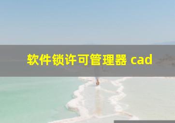 软件锁许可管理器 cad